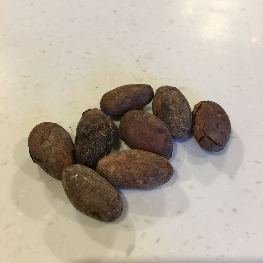 Teuko.com the lunchbox community. Roasted cocoa Beans.