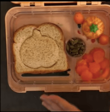 The Pumpkin Patch Lunch video tutorial, by @veganlunchmom