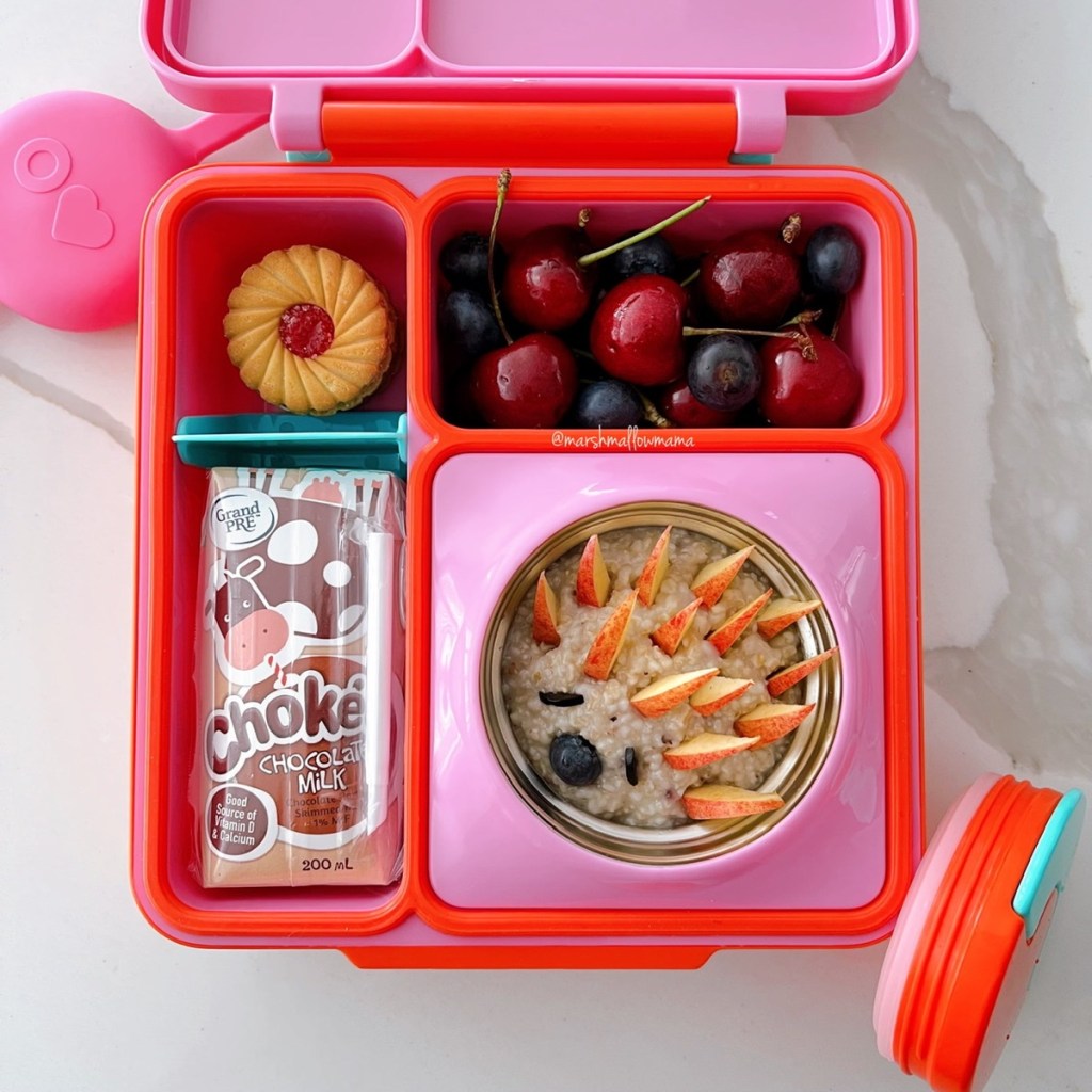 oatmeal that looks like a hedgehog, as there are apple slices that represent the spikes and raisins for the nose and the eyes. On the side, chocolate milk, cherries, and a cookie. Teuko Lunchbox Bento Kids Food School Lunch Community.
