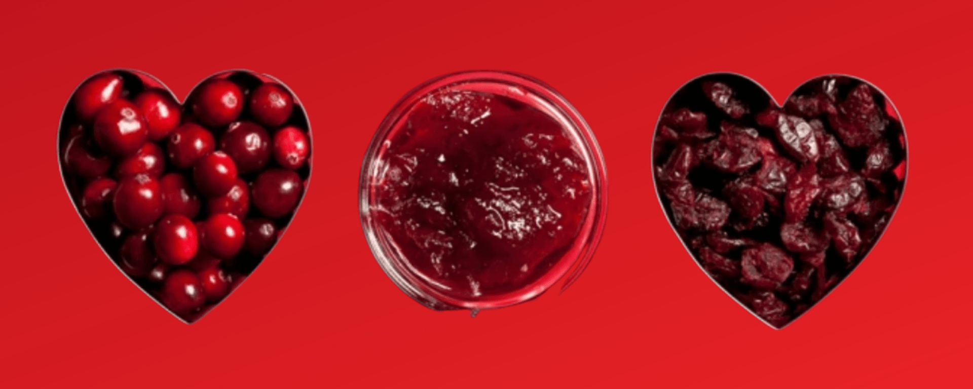 5 Ways to Add Cranberries in Kids' Lunch Boxes