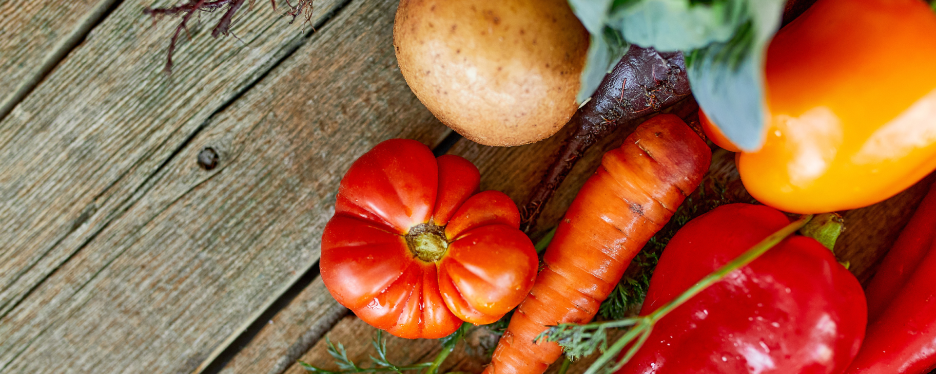 10 Food Ideas celebrating Earth Month for Your Kids’ Lunch Boxes