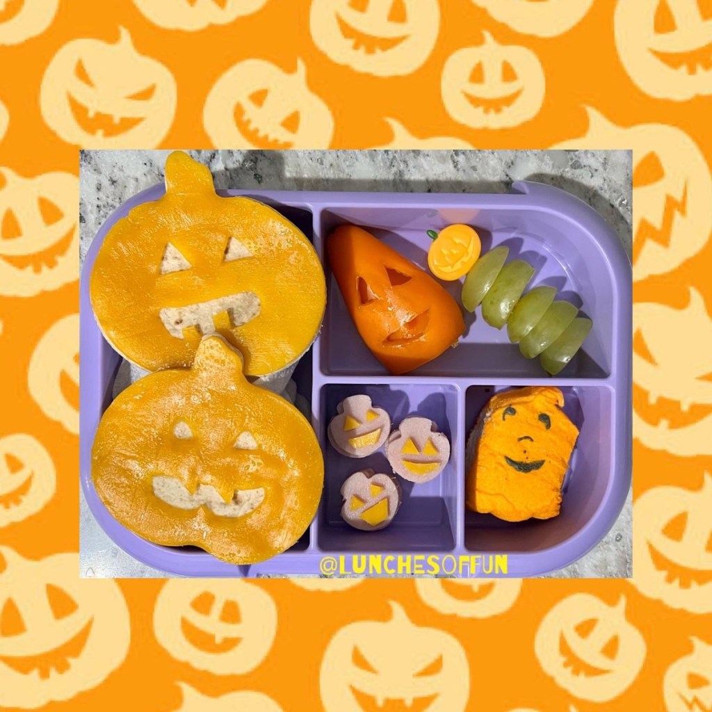 Turkey and cheese quesadilla in a kid's lunchbox