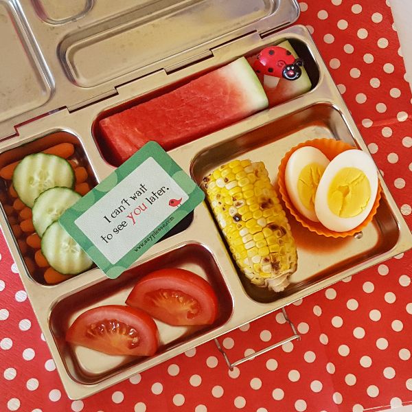 Picnic lunchbox