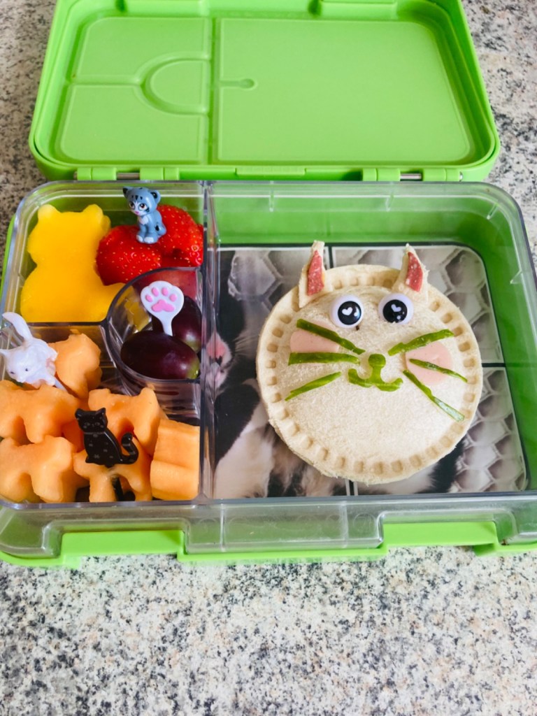 Cat Unscrustables sandwich in a kid's bento lunchbox packed for lunchtime at school