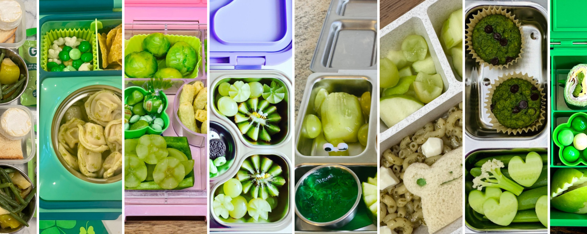 Colorful green-themed lunchboxes with kiwi, spinach wrap, cucumber slices in bright natural light.